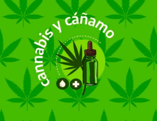 Relevamiento-federal-de-produccion-de-cannabis-y-canamo