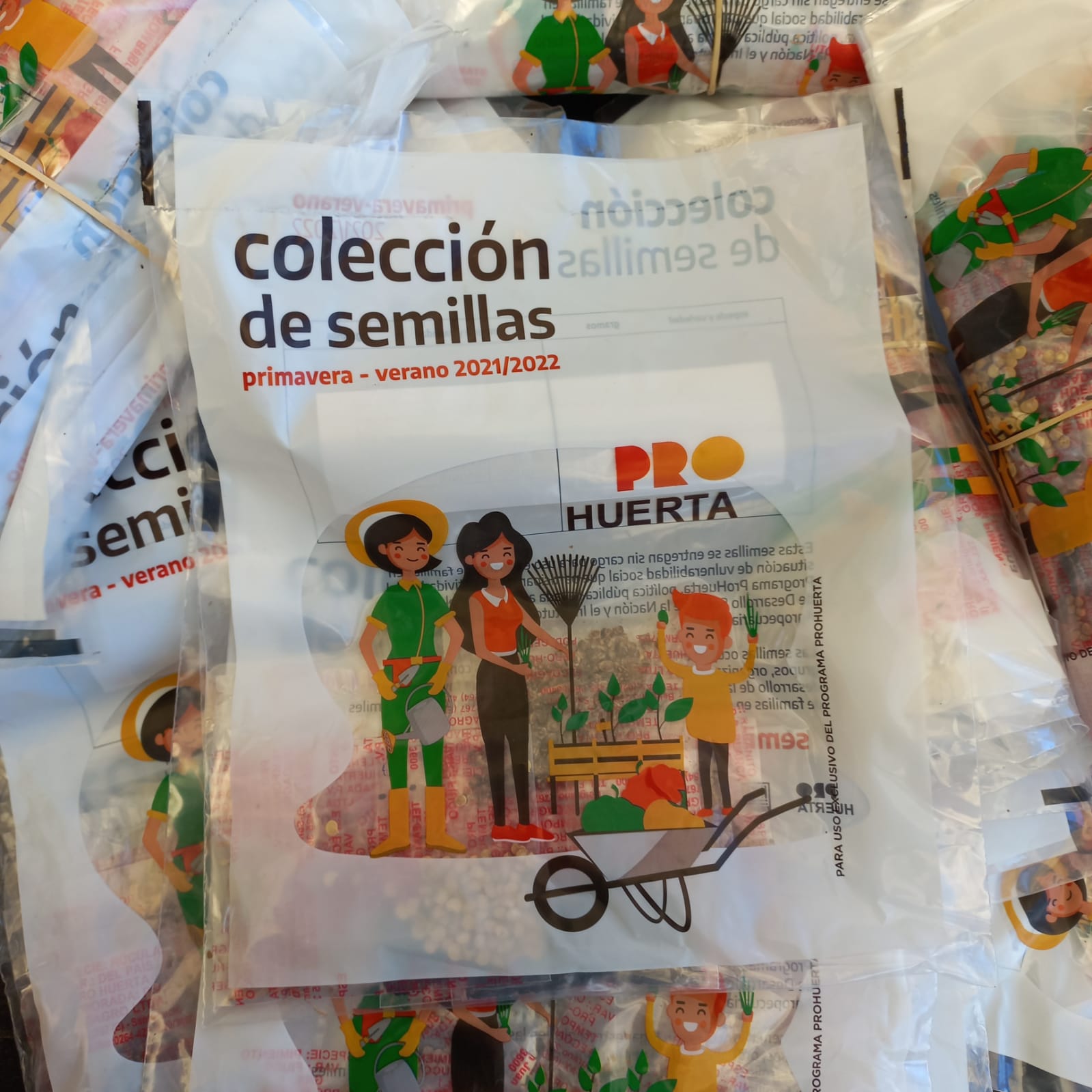 ENTREGA DE SEMILLAS PRO_HUERTA