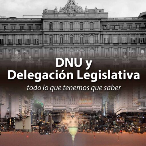 Cristian Galleguillo Abogado DNU y Delegación Legislativa